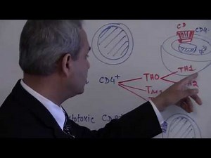 Immunology (T Cells) Lecture 6 (Part - 1) Video Lecture - MBBS