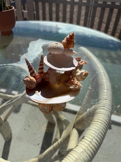 Abalone Shell Jewelry Sculpture - Etsy