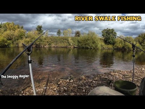 RIVER SWALE FISHING