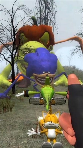 WHO’S FASTER? 🌀 SonicTapes vs ShrekTapes vs PumpkinTapes in GMod Pine Forest 🌲🌫️