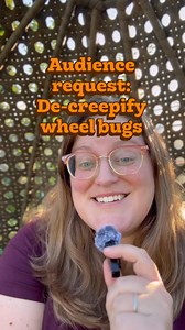 276K views · 9.8K reactions | Common misconception: North American wheel bugs are not a known reservoir for Chagas’ disease. That’s the kissing bug, which is also in the Assassin family. #bugs #learning #series #decreepify | Flora and Frost | Facebook