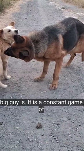 Who says size matters whenyou have this much