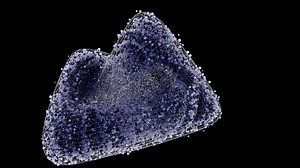 Abstract 3d Mesh Structure Particles