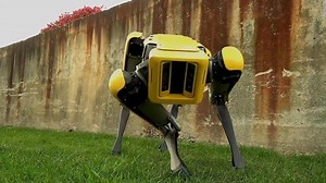 Boston Dynamics set to sell robot dog that became a viral hit