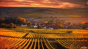 Helicopter likely hit power lines in fatal Nashua crash