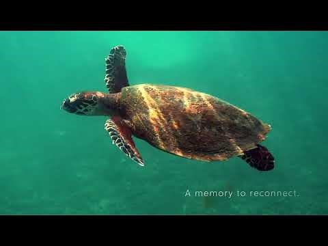 Madifushi Private Island Maldives, Luxury Resort, Meemu Atoll, Maldives