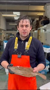 What IS seasonality? You’d think it simply relates to the abundance of landings. However, if you’re judging against the quality of the meat AND the impact on a species’ repressive cycle, it can be the complete opposite. Case in point are these plaice. We’re coming to the end of January and they’re filling up with roe ahead of their spawning cycle. To produce this roe, these plaice use a lot of energy and fat - reducing their meat yield while also diluting the flavour somewhat. The same is true f