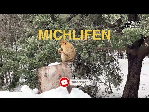 MOROCCO - MICHLIFEN