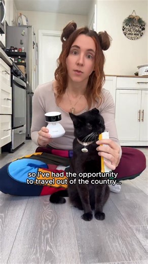 Uno & Dos on Instagram: "#ad being away from Uno and Dos always gives me a little bit of “cat-mom guilt” - but now that I’m able use the @petlibro Scout Smart Camera to check on my cats anywhere, anytime with 360° auto-tracking, night vision, multi-pet recognition, AI behavior analysis and 2-way audio. I feel A LOT less guilty about traveling. If you want a smarter way to stay connected to your pets, use “UNO50” to get 50% off your Petlibro Scout Camera (link in bio for more info! ) #Petlibro #S