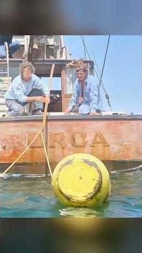 26ft 10-Ton Shark Attacks! Captain’s Harpoon Battle#Thriller#movierecap#shorts