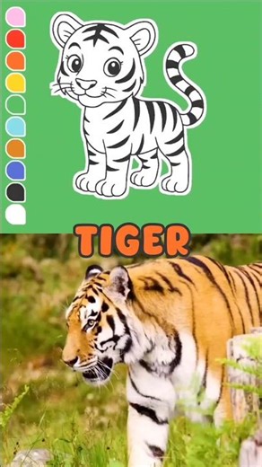 Learn to Draw Animals for Kids 🐯🦈🦉🦒🐠 | Easy Drawing #drawingforkids #animalart #howtodraw
