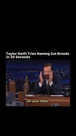 ThePopRewind on Instagram: "Jimmy Fallon brought up a comment Swift once made jokingly about being able to name a bunch of cat breeds, and asked her to try it for real on the show. She rattles off a string of cat breeds (and some humorous “types”) while a timer counts down and managed to name about 24 different cat types/breeds within the 30-second challenge. #taylorswift #cat #tonightshow"