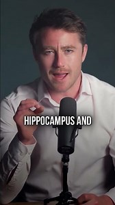 What Makes One Brain Resist Indoctrination While Another Accepts It?