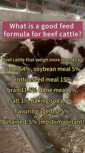 What is a good feed formula for beef cattle?