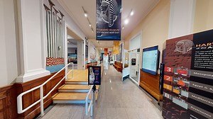 Explore Harvard Museum of the Ancient Near East Galleries in 3D