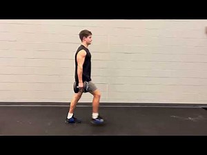 DB Lunges (Exercise Library)
