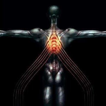 Tool - Message to Harry Manback II