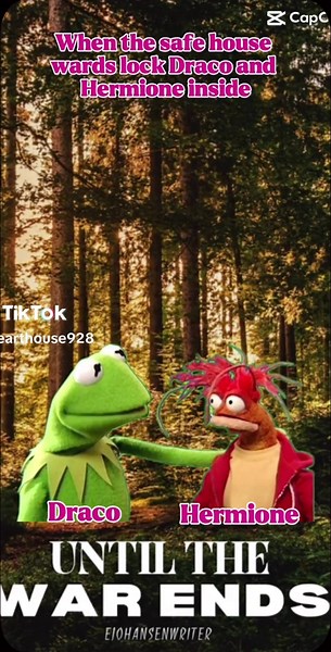 Exploring the One Bed Trope in Dramione Stories