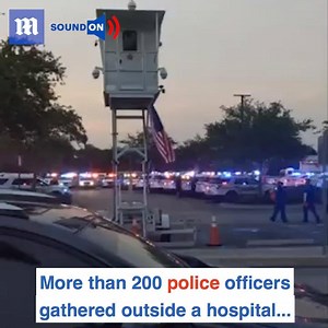 218K views · 308 reactions | Solidarity is what will get us through this | Daily Mail Australia | Facebook