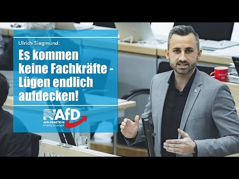 Ulrich Siegmund: Es kommen keine Fachkräfte - Lügen endlich aufdecken!