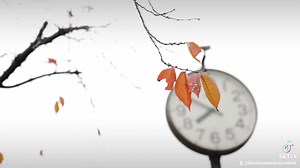 Joining our business directory will provide a range of benefits, from...