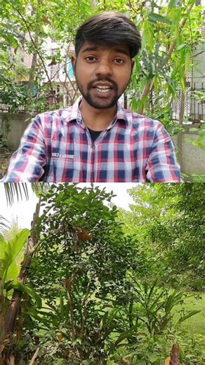 realme P4 pro dual view video testing #shorts #camera #videotest #dualview