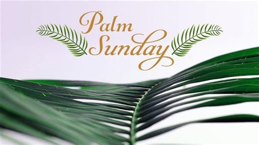 Palm Sunday 2025 Mass Live Streaming: Watch Live Broadcast From the Vatican, Videos of Passion Sunday Mass, Christian Liturgy and Bible Sermons Online From Churches | 🙏🏻 LatestLY