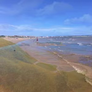 🎉🎉🎉Happy Yorkshire Day! 🎉🎉🎉 Now get yourself a nice brew ☕️and enjoy our video 🎥 plus a few facts about our little corner of the world: 🍴The Yorkshire pudding can be traced back as early as the 1700's. 🌏North Yorkshire covers an area of more than 3,300 square miles - making it the largest county in England. 🌿Around 40% of North Yorkshire is covered in National Parks. 🐶Yorkshire's exports include meat, dairy, beer, eggs and the Yorkshire Terrier which is one of the most popular toy dog