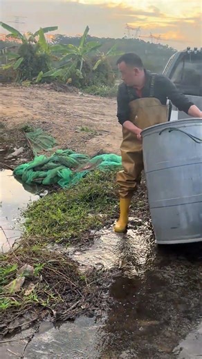 Big Fish Finally Released into Deep Water 🐟🌊 | Amazing Natural Moment