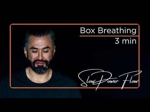 Box Breathing | 3-Min Guided Breath for Balance & Alertness | Yoga with Sheehan