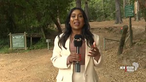 12K views · 104 reactions | [WATCH] Baboon conservation is once again making headlines in Cape Town, following the killing of an alpha male baboon from a small troop in Constantia. Animal activists and concerned residents are calling for answers, condemning the killings across the Western Cape as merciless and cruel. #Newzroom405 Latashia Naidoo has more on this developing story. | Newzroom Afrika | Facebook