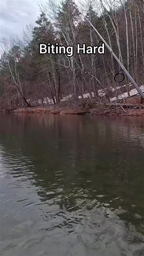 Big Fish Bite Hard!! #outdoors #foryou #fish #fishing #fyp | Fish