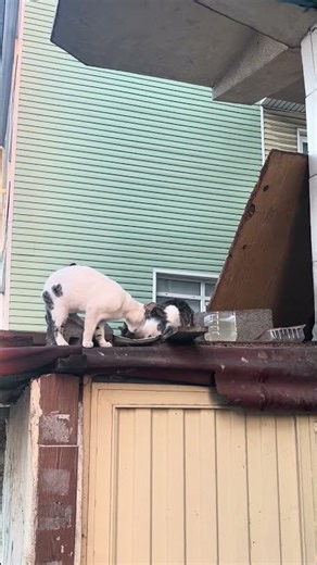 Zor geçinen havada karada besleme yapıyor; zengin olan dönüp bakmıyor.