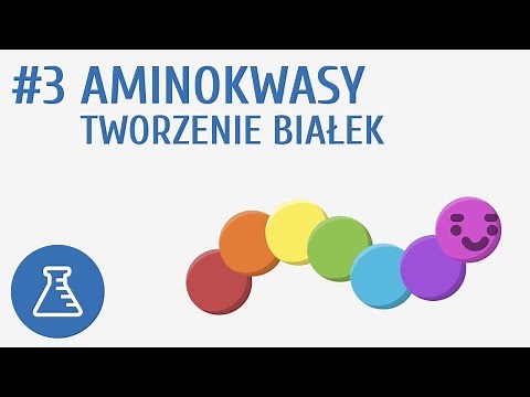 Aminokwasy, tworzenie białek #3 [ Biologiczne związki organiczne ]