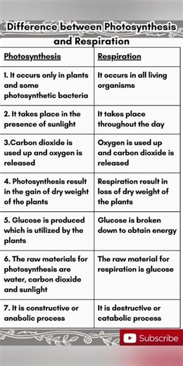 #difference between Photosynthesis and Respiration