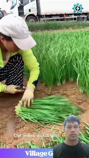 ULTIMATE Chives Harvesting Skills! 🔪 Watch This Pro's INSANE Speed & Smoothness! #farming #harvest