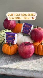 1.6K views · 54 reactions | You ask, we listen! Pumpkin Spice & Vanilla is officially here  Get our most iconic seasonal scent today and smell incredible all autumn ✨ Shop now on our website! | Wild | Facebook