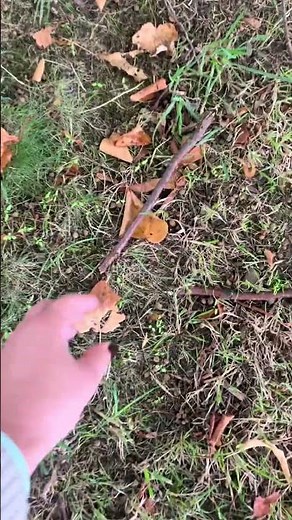 🍁✨ Easy Autumn Maths Hack | Fun Outdoor Learning for Kids 👏