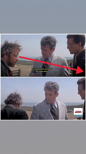Did You Know: During the scene in JAWS with Brody and Hooper trying to convince Mayor Vaughn that there is a shark problem, actor Richard Dreyfuss had difficulties pronouncing the scientific name for Great White shark….. Caracarodon carcharias. To help, a cue card was held out of shot with the name written out phonetically. You can see Dreyfuss glance at the cue card just before delivering the line. | The Daily Jaws