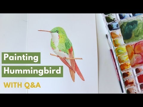 Painting a Watercolor Hummingbird | Wet-on-Wet vs Wet-on-Dry + Watercolor Paper Tips & Q&A