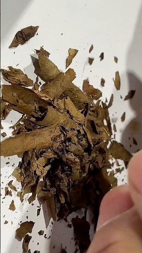Tobacco could save millions of lives