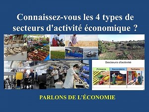 Cours #15. Connaissez-vous les 4 types de secteurs d'activité économique ? Explications...