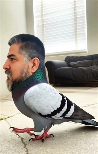 Que Animalito Es, No No Es El Pajaro Quemáíz