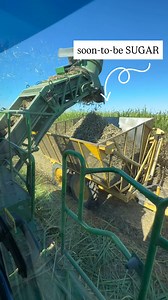 52K views · 608 reactions | #RealSugar is made from sugarcane – seen here – and sugarbeets. Both of these crops make the exact same sugar, and the family farmers who grow these crops rely on a strong U.S. sugar policy. A strengthened farm safety net puts America’s farmers first and helps preserve our national food security! | American Sugar Alliance | Facebook