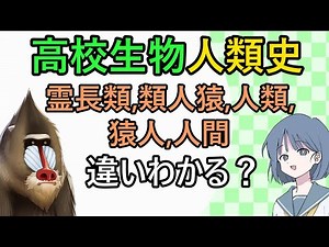 人類史（違いが分かる！類人猿、人類、人間）【高校生物＆地学基礎にも！】