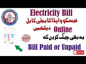 Electricity Bill Online Check | WAPDA Duplicate Bill Download & Payment Method