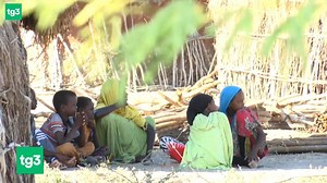 6.2K views · 133 reactions | SILVIA ROMANO, UN ANNO DOPO Il 20 novembre del 2018 il rapimento in Kenya, della volontaria milanese Silvia Romano. Gli inquirenti italiani sono convinti che la ragazza sia viva, in Somalia, nelle mani del gruppo terrorista islamico. Dopo un anno di silenzio, parla per la prima volta la presidente di Africa Milele, l'associazione per cui Silvia era partita. L'intervista di Jari Pilati, dal Tg3 delle 12 del 19 novembre 2019 | Tg3 | Facebook