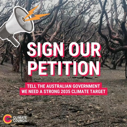 748 reactions · 104 shares | Our future depends on a strong 2035 climate target. We need your help to get the government to act! | The Climate Council | Facebook
