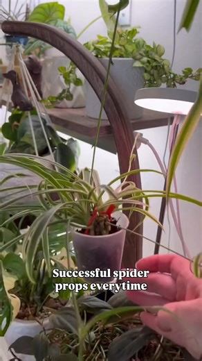 130K views · 1K reactions | I get asked a lot about when to remove...