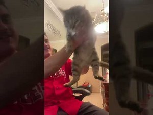 Couns 2 mentoring practice